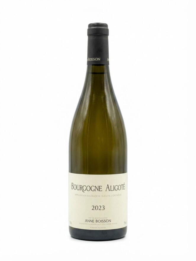 안 부아송 부르고뉴 알리고테 2023