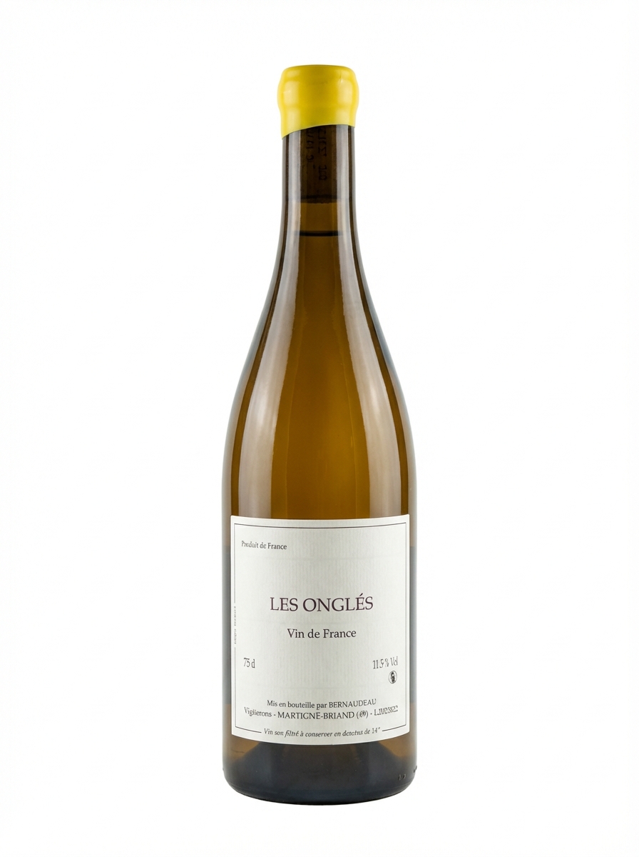 스테판 베르노도 레 죵글레 2023