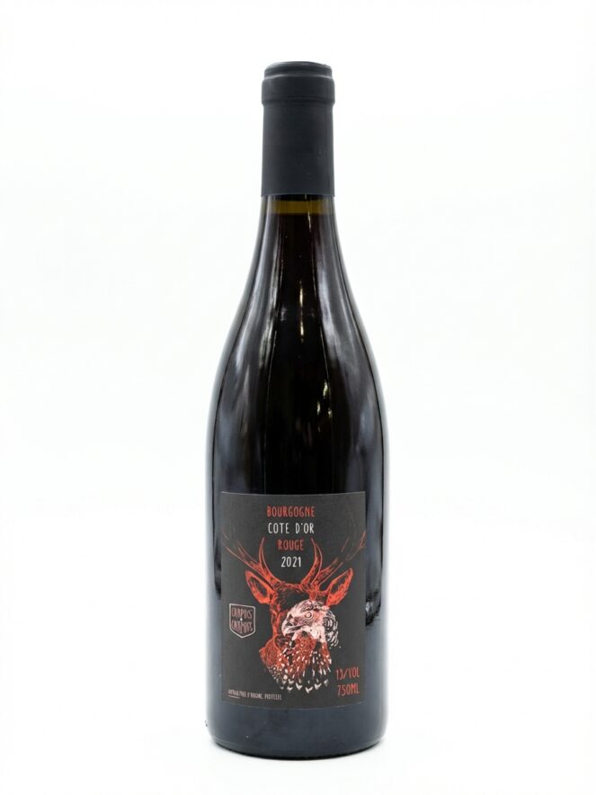 샤퓌 부르고뉴 코트 도르 2024