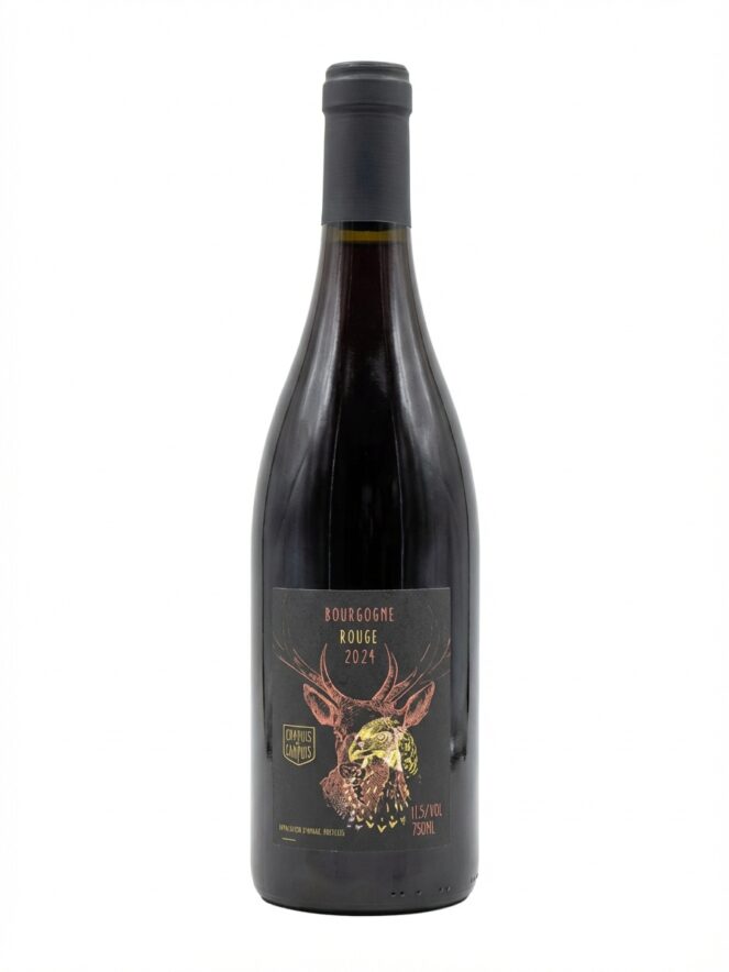 샤퓌 부르고뉴 2024