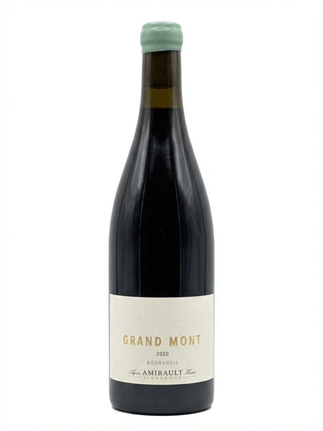 야닉 아미로 부르괴유 그랑 몽 2020