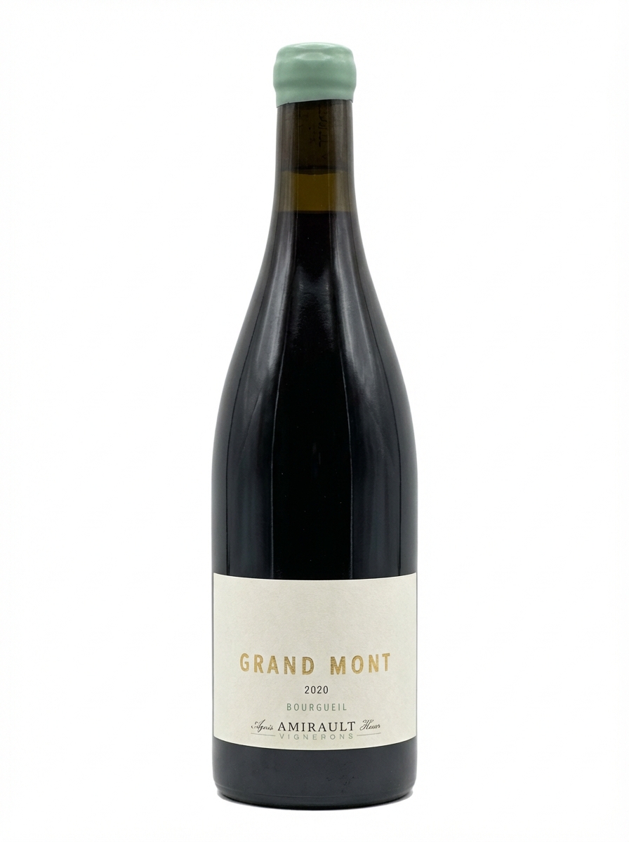 야닉 아미로 부르괴유 그랑 몽 2020