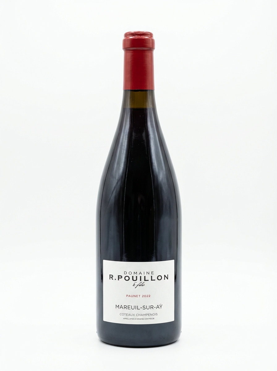 R 푸이용 코토 샹프누아 파우네 2022