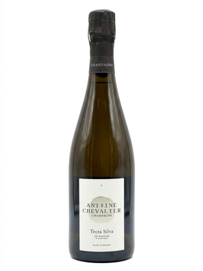 앙투안 슈발리에 텍타 실바 2020