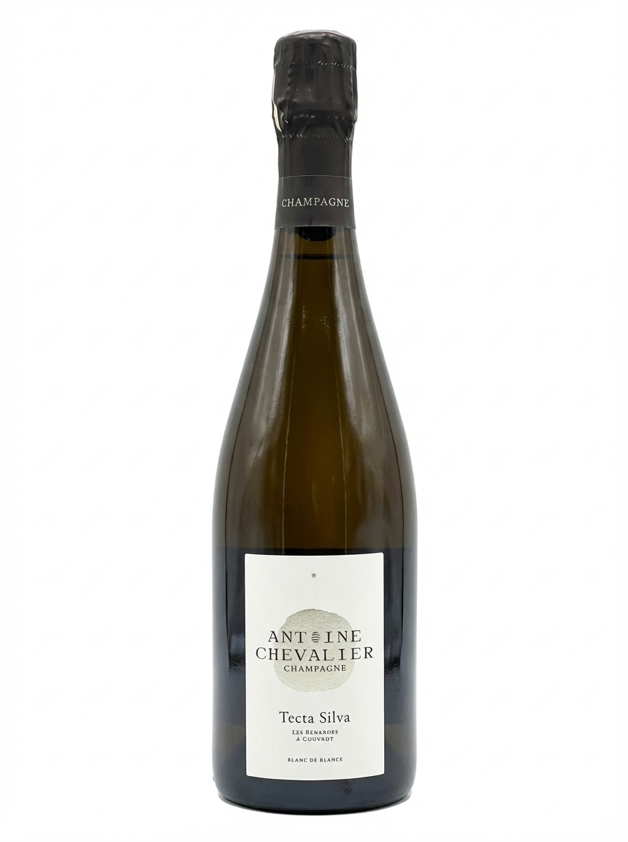 앙투안 슈발리에 텍타 실바 2020