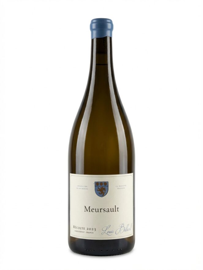 루이 비야르 뫼르소 2023