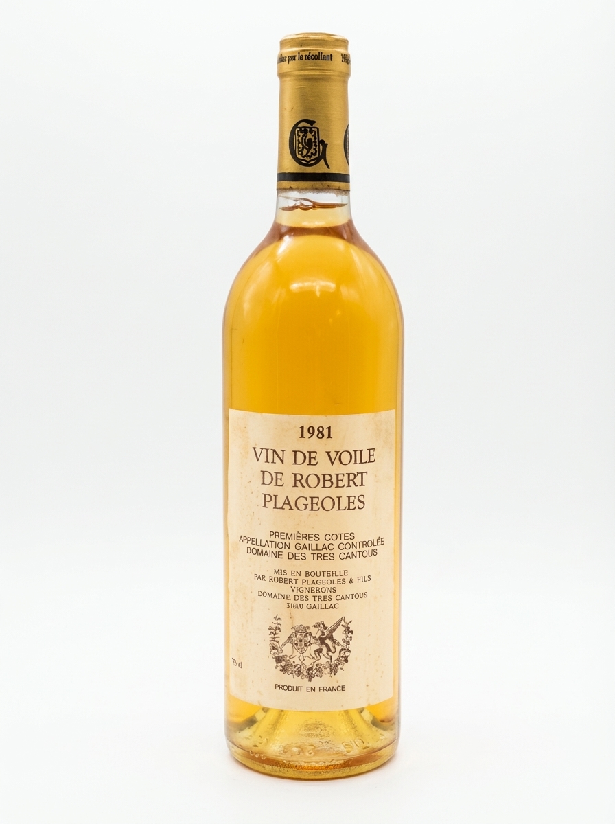 로베르 플라졸 가이약 두 뱅 드 부알 1981