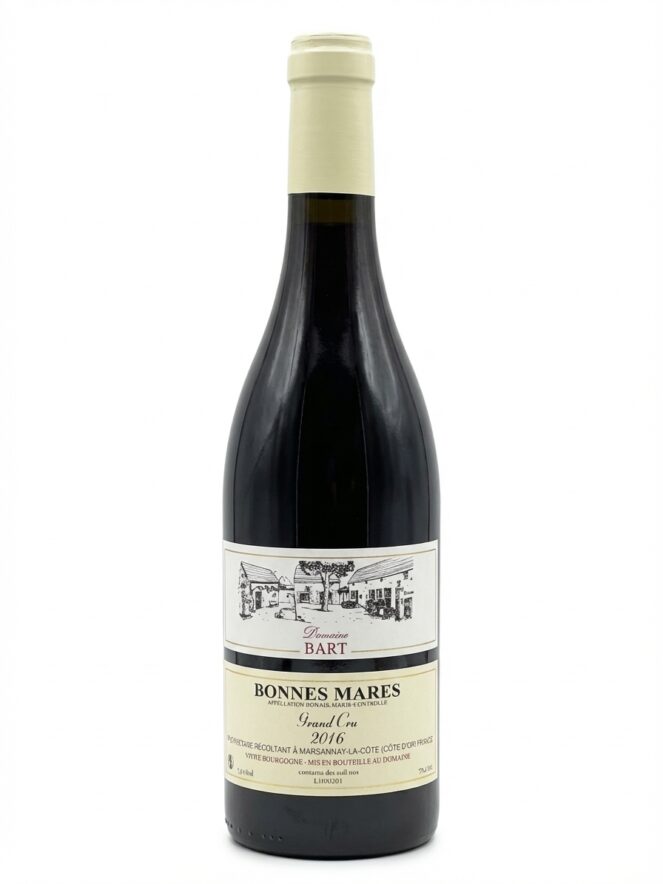 바르 본 마르 2016