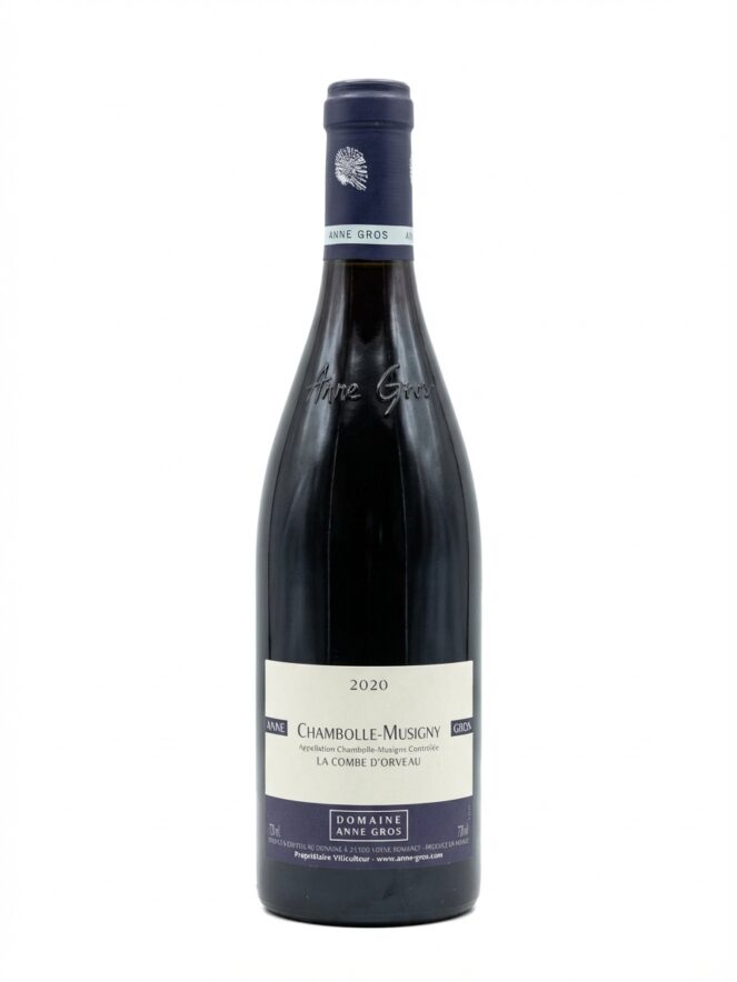 안 그로 샹볼 뮈지니 라 콤브 도르보 2020