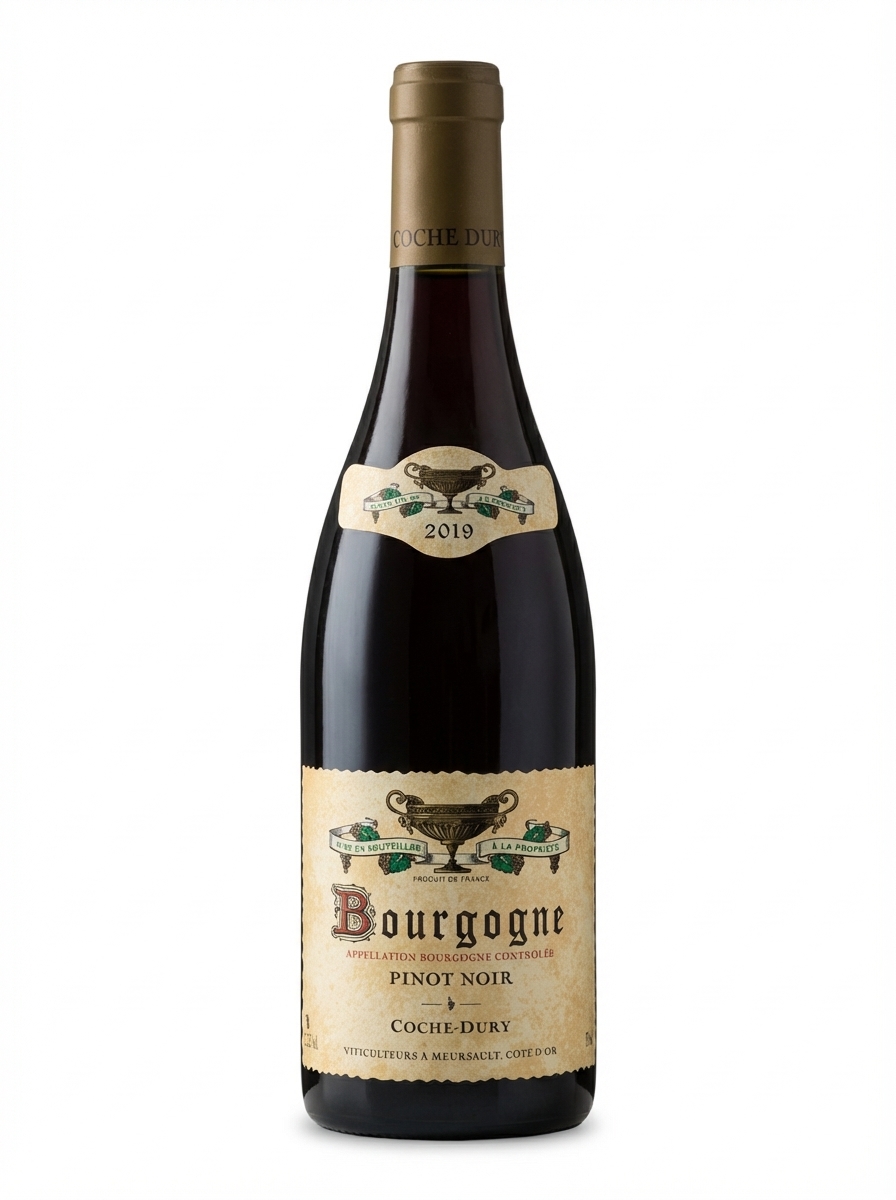 코슈 뒤리 부르고뉴 2019