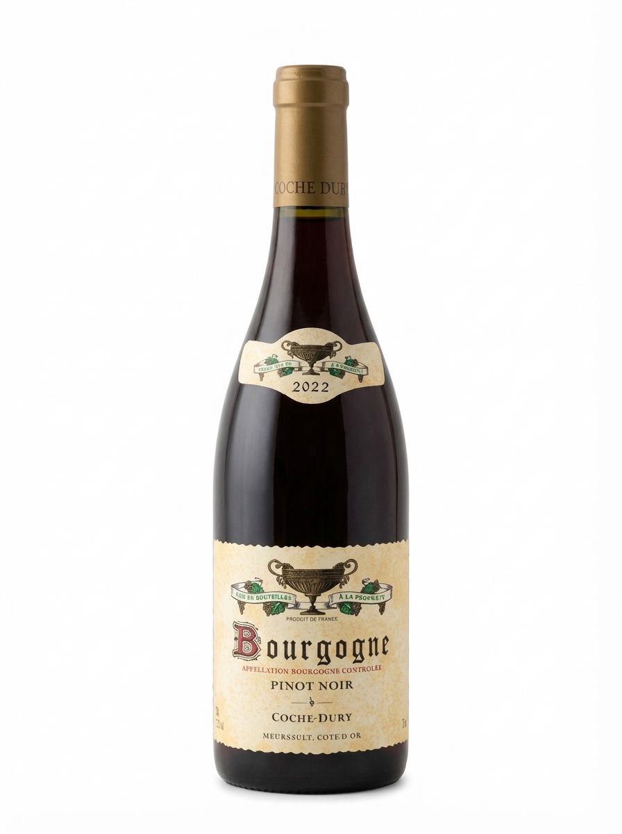 코슈 뒤리 부르고뉴 2022 루즈