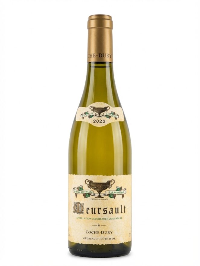 코슈 뒤리 뫼르소 2022