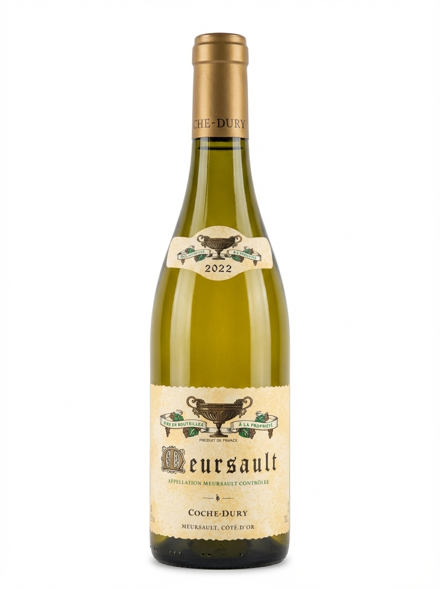 코슈 뒤리 뫼르소 2022