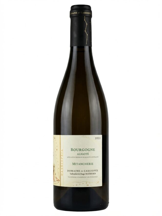 카시오페 부르고뉴 알리고테 미탕슈리 2022