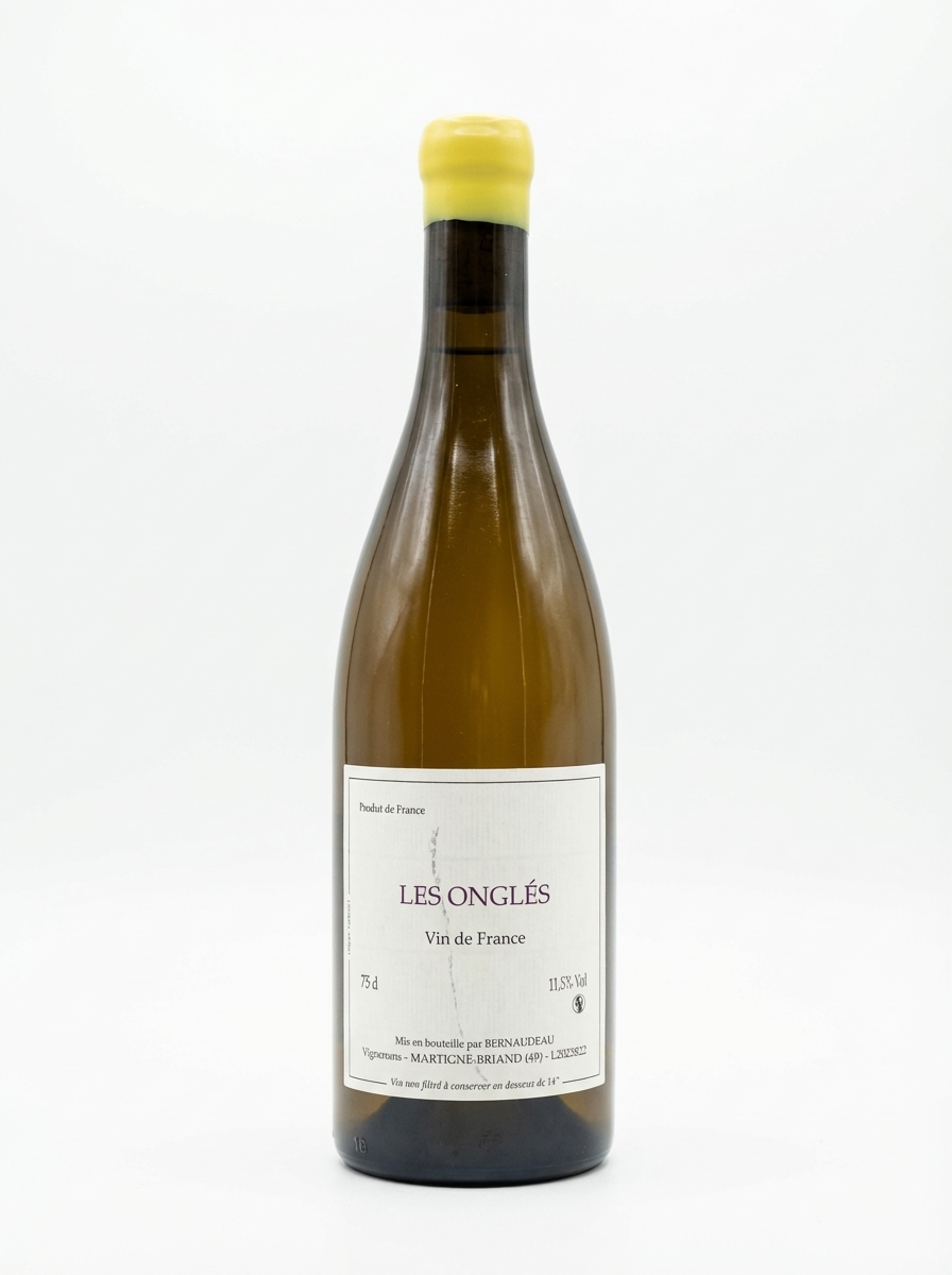 스테판 베르노도 레 종글레 2023