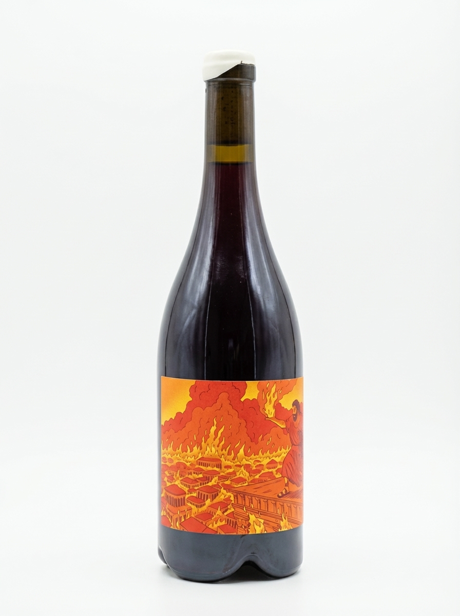 로맹 에냉 코토 샴프누아 니코 사마렌시스 피노 누아 2024