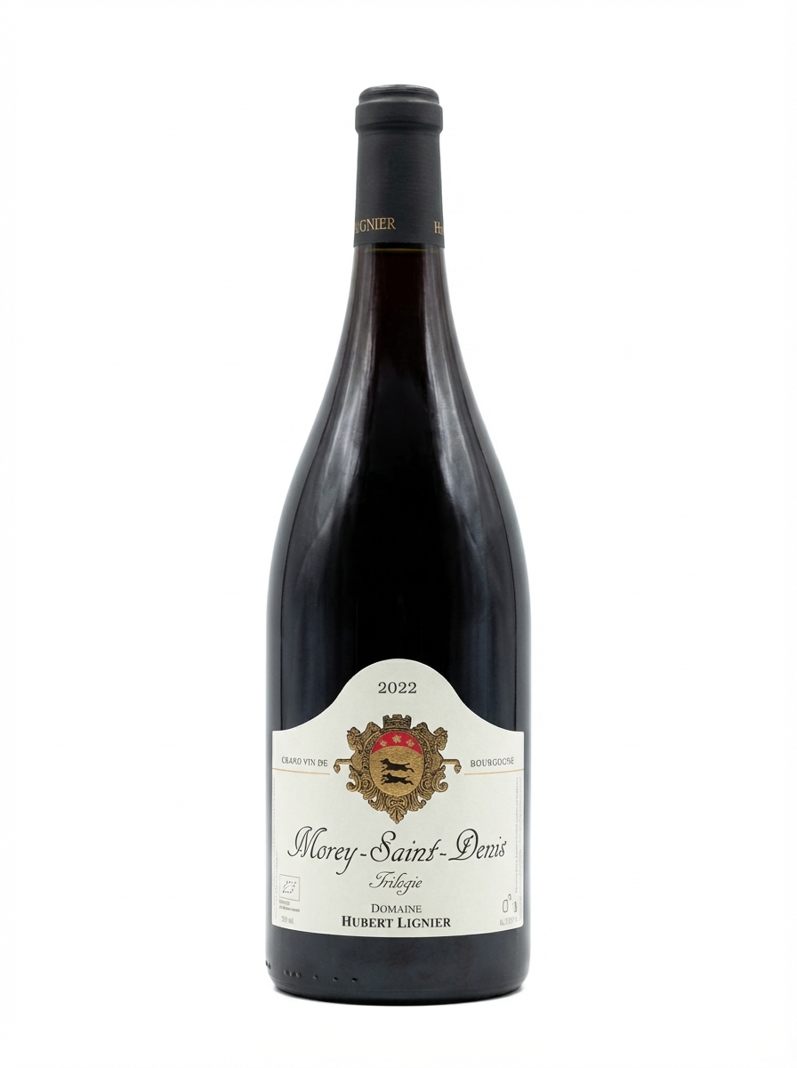 위베르 리니에 모레 생 드니 트릴로지 2022