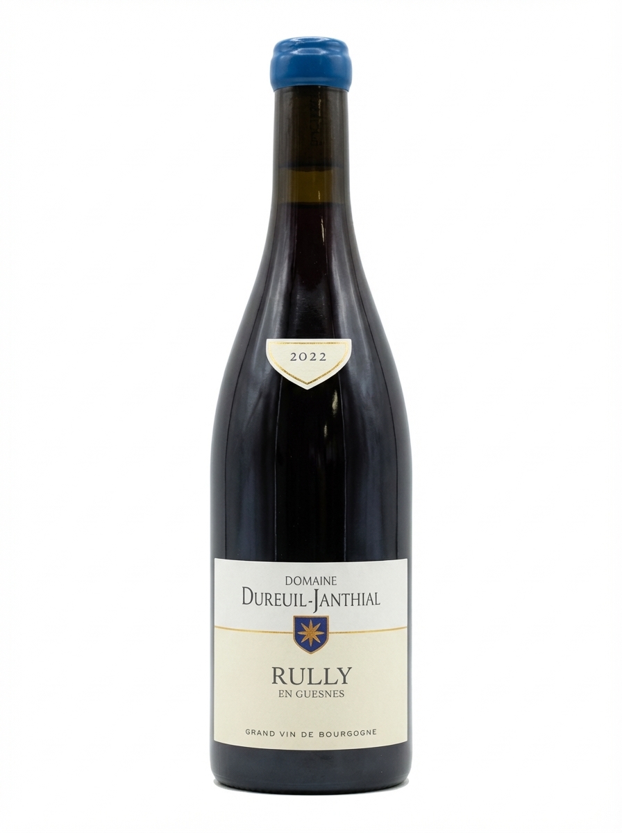 뱅상 뒤뢰유 장티알 륄리 앙 겐 2022