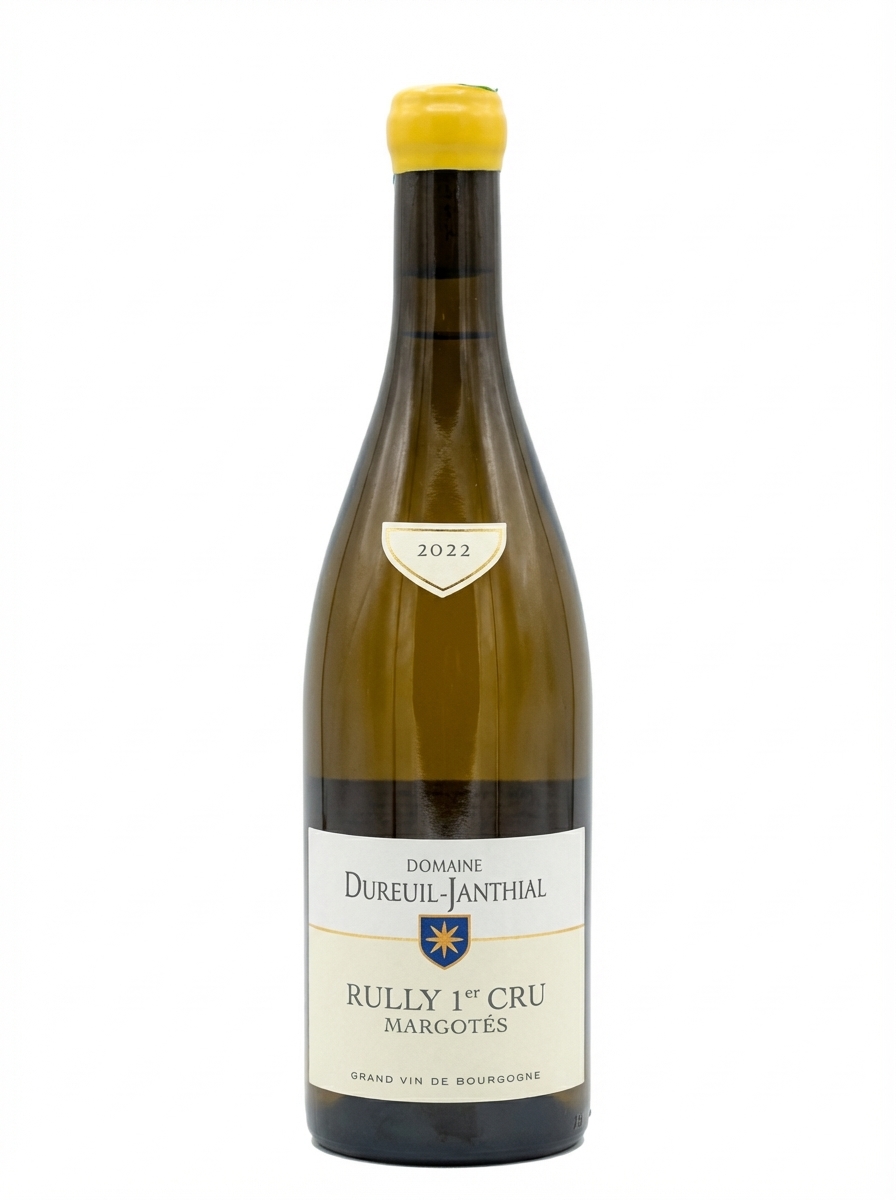 뱅상 뒤뢰유 장티알 륄리 프리미에 크뤼 레 마르고테 2022