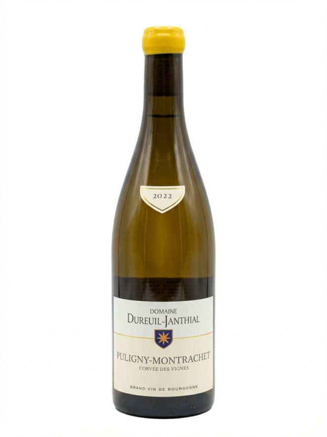 뱅상 뒤뢰유 장티알 퓔리니 몽라셰 코르베 데 비뉴 2022