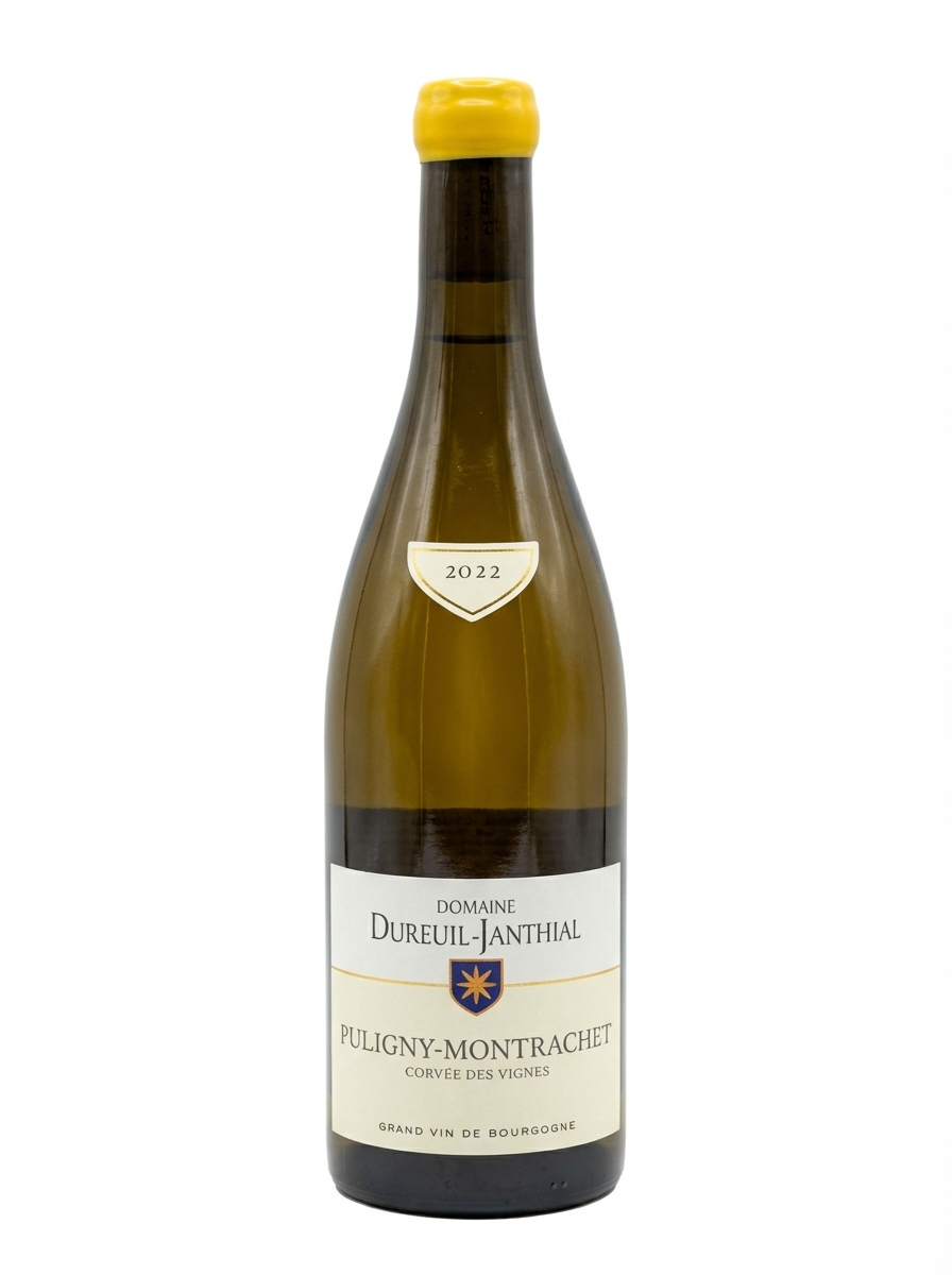 뱅상 뒤뢰유 장티알 퓔리니 몽라셰 코르베 데 비뉴 2022