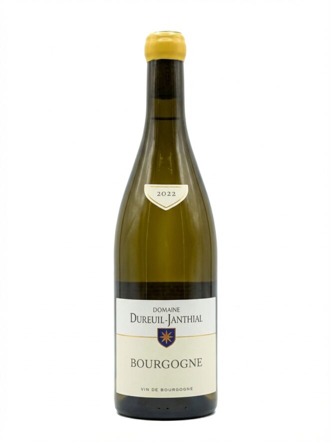 뱅상 뒤뢰유 장티알 부르고뉴 2022 블랑