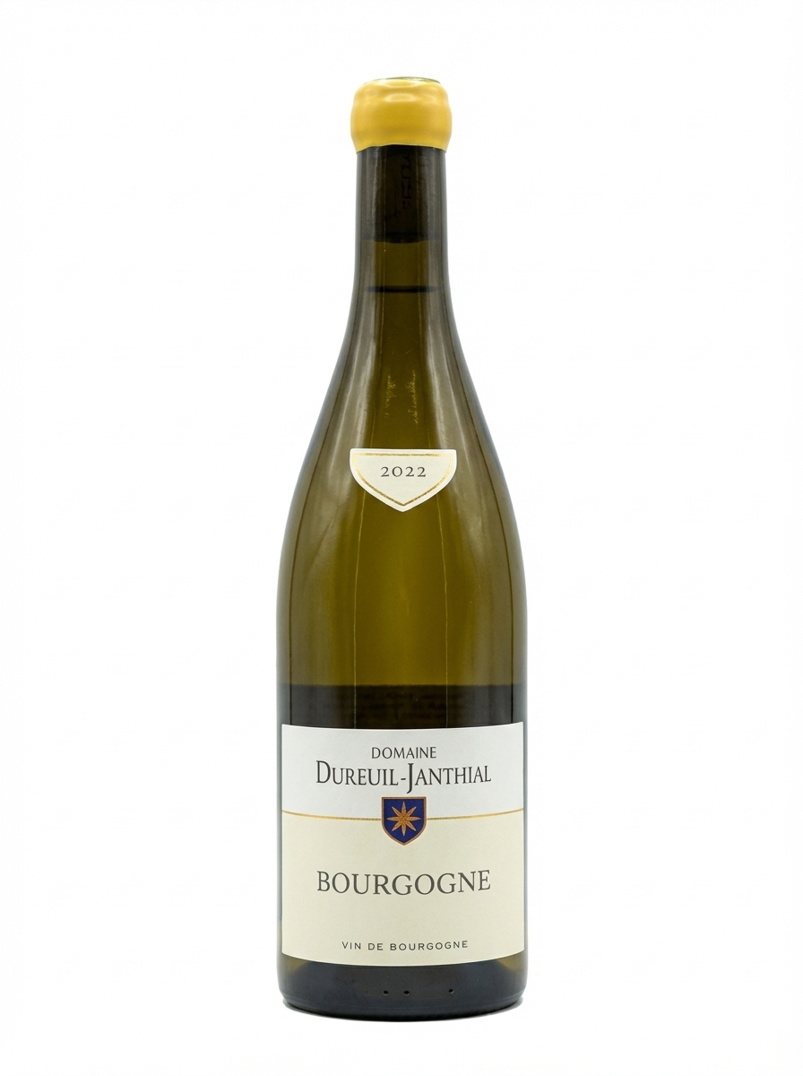 뱅상 뒤뢰유 장티알 부르고뉴 2022 블랑