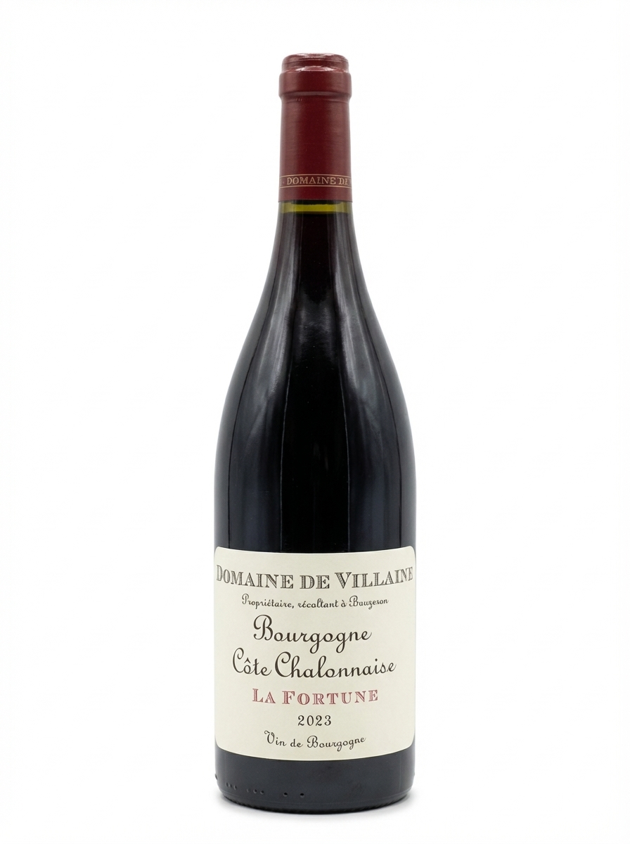 드 빌렌 부르고뉴 코트 샬로네즈 라 포르튄 2023