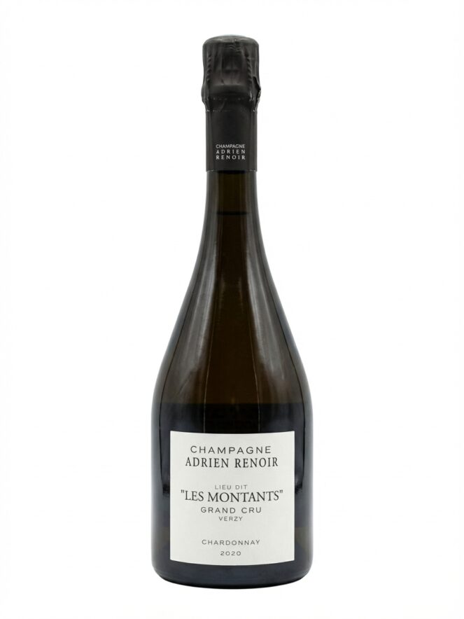 아드리안 르누아르 베르지 그랑 크뤼 레 몽탕 2020
