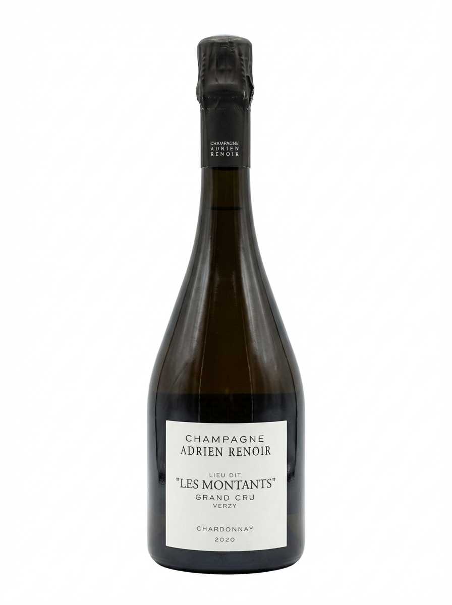 아드리안 르누아르 베르지 그랑 크뤼 레 몽탕 2020