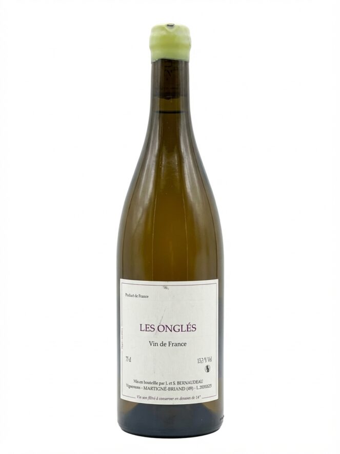 스테판 베르노도 레 종글 2020