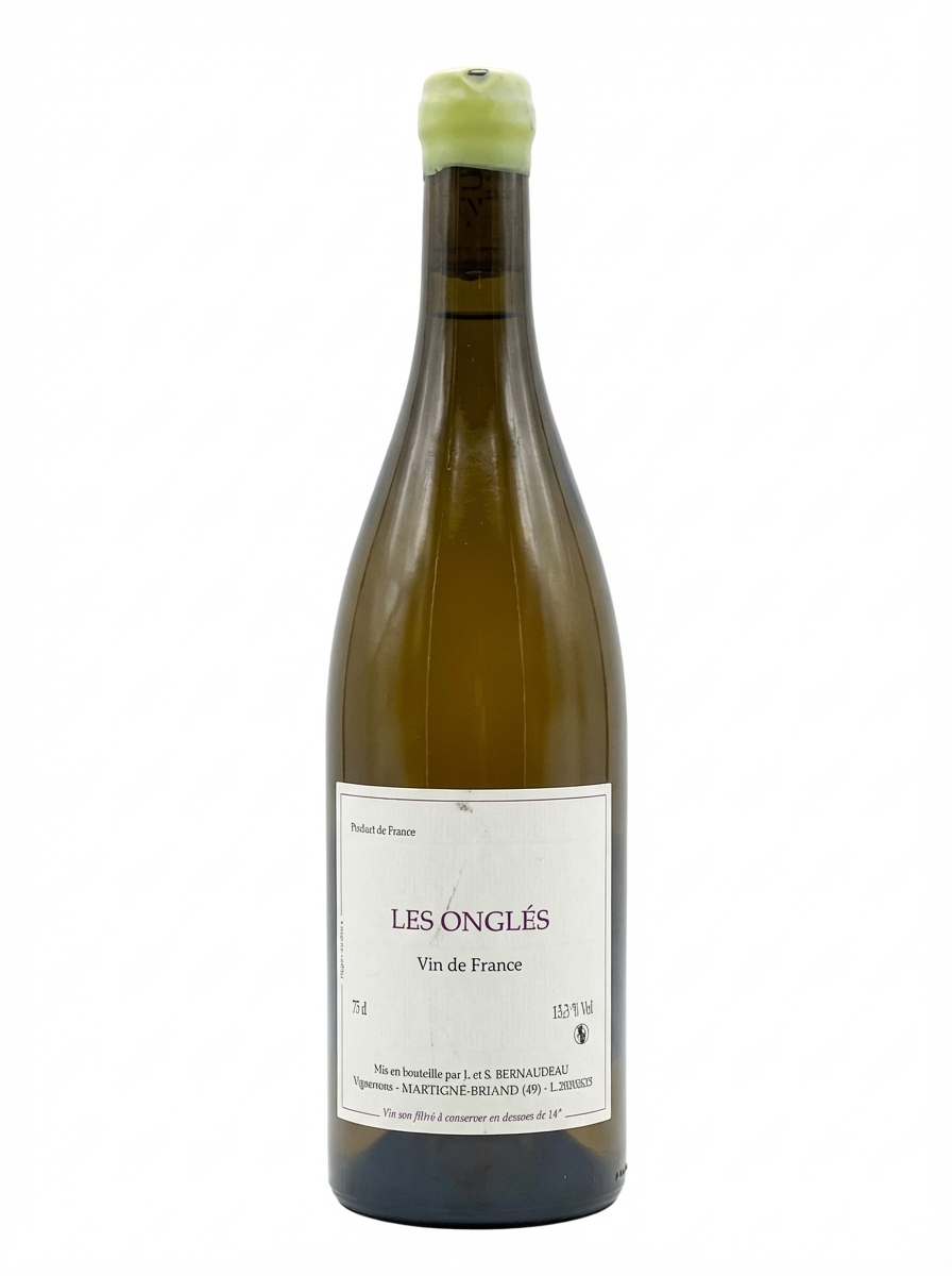 스테판 베르노도 레 종글 2020