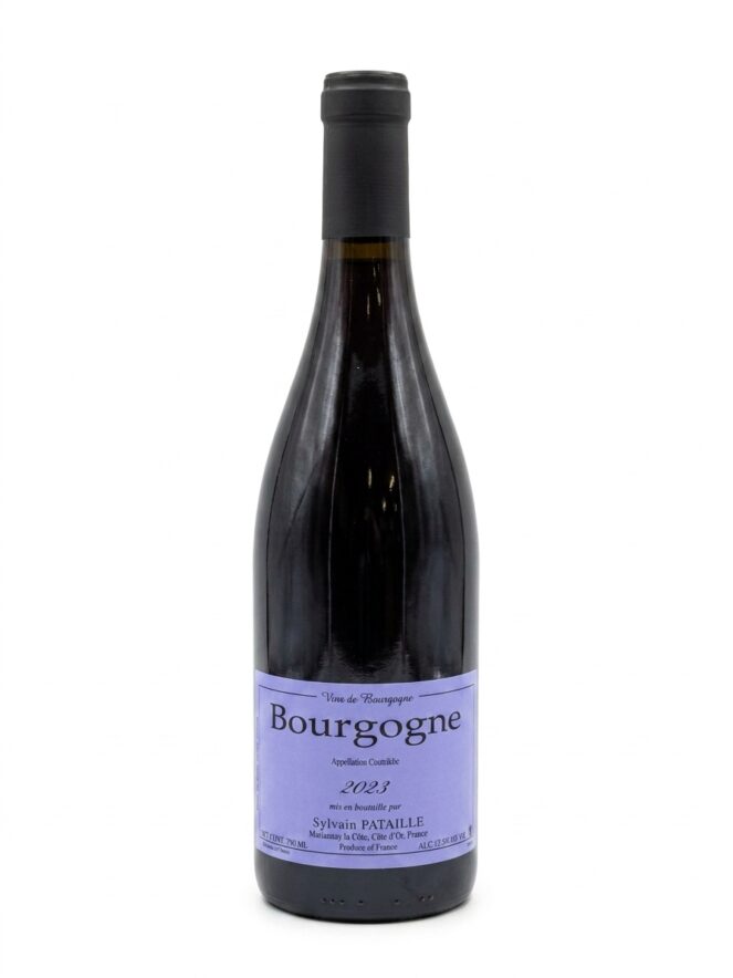 실뱅 파타유 부르고뉴 2023 루즈