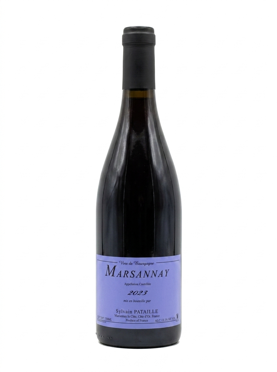 실뱅 파타유 마르사네 2023