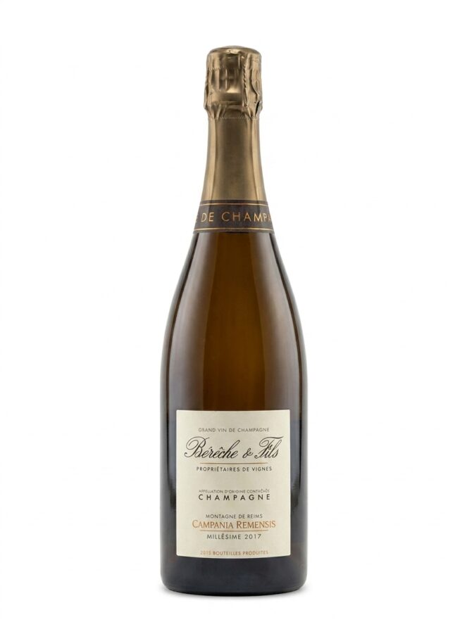 베레슈 에 피스 캄파니아 레멘시스 2017