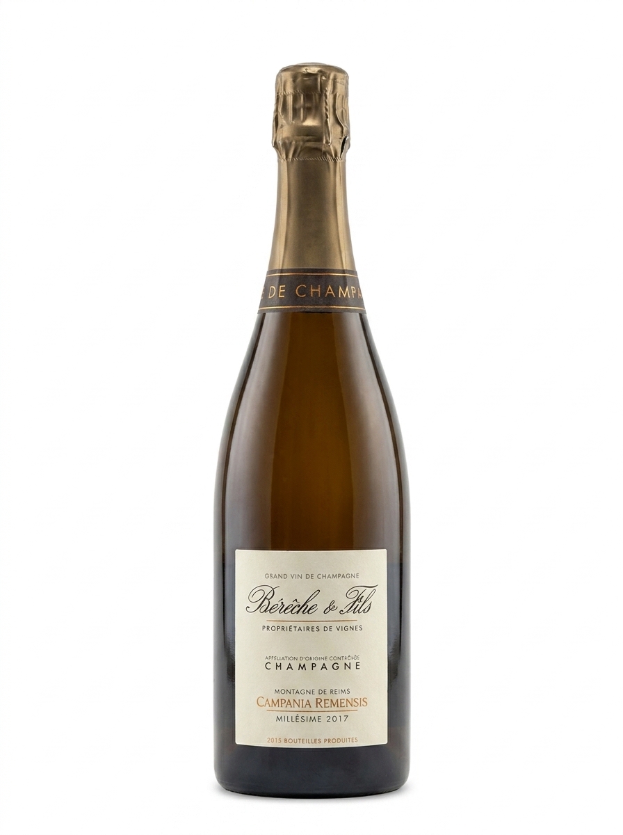 베레슈 에 피스 캄파니아 레멘시스 2017