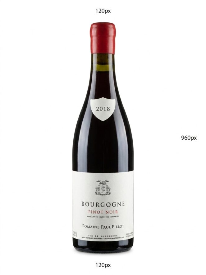 폴 피요 부르고뉴 피노 누아 2018