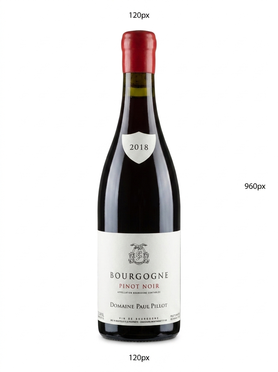 폴 피요 부르고뉴 피노 누아 2018