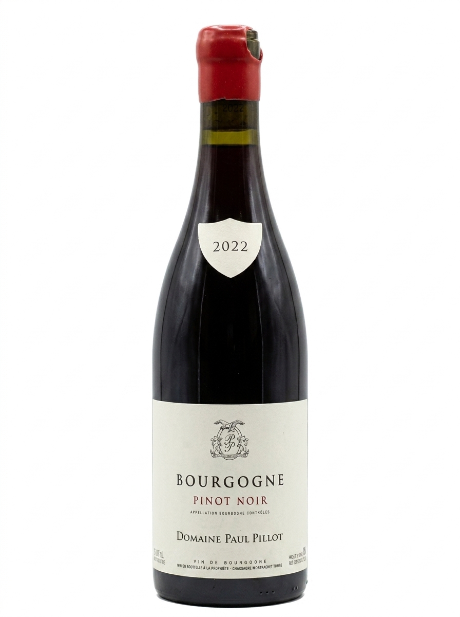 폴 피요 부르고뉴 피노 누아 2022
