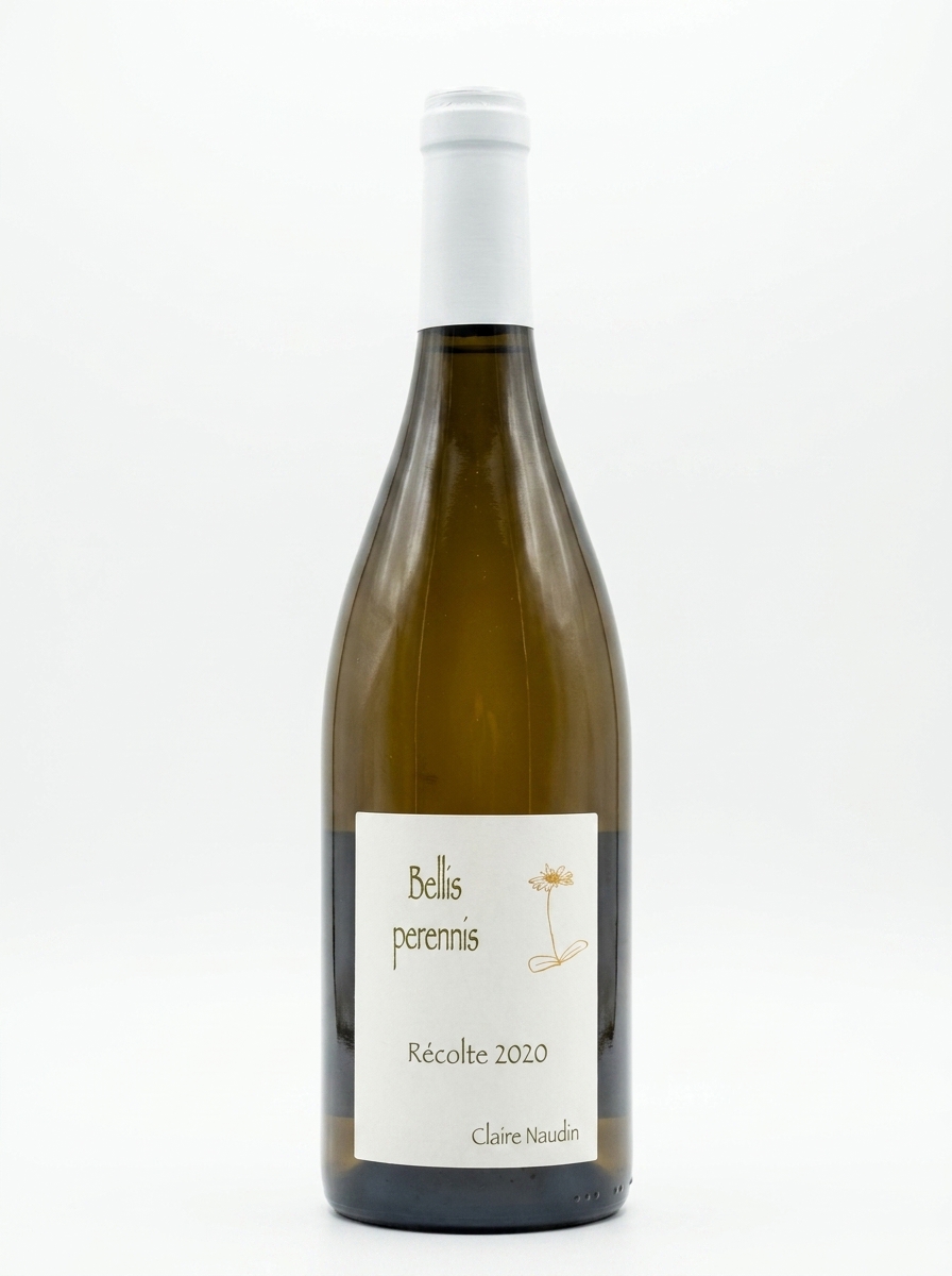 클레르 노댕 오 코트 드 본 벨리스 페레니스 2020