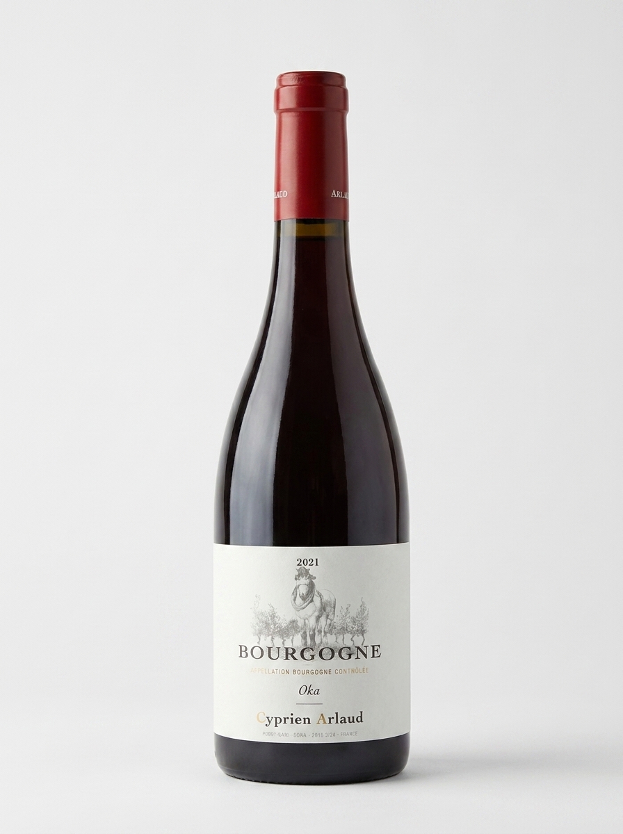 시프리앙 아를로 부르고뉴 오카 2021