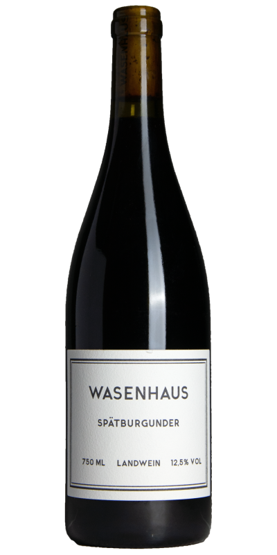 Wasenhaus Spätburgunder 2024